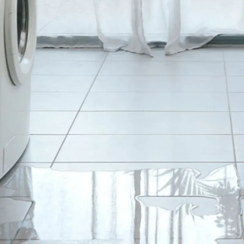 Appliance Leak Cleanup in Kinsey, AL